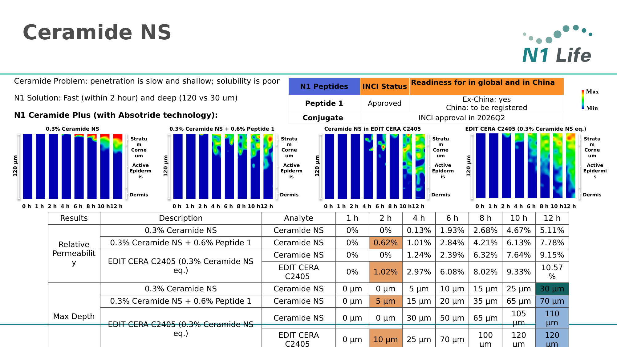 Peptide 2 的 12h 表现最佳